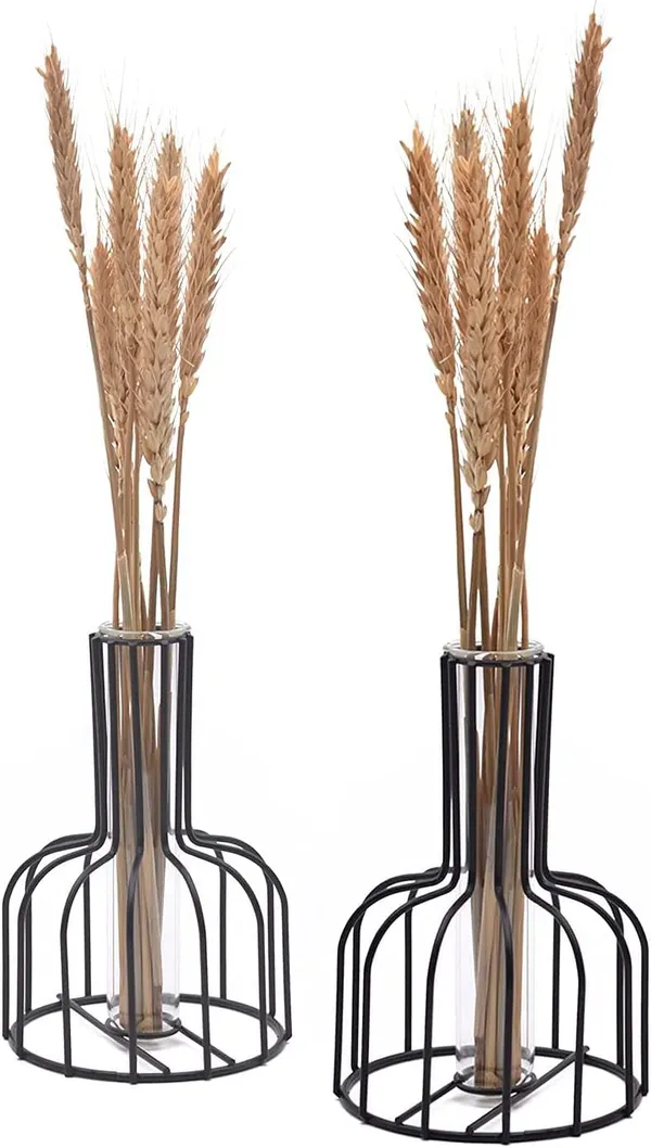 Black_Flower_Vases_With_Iron_Art_Frame,_Metal_Flower_Vase,_Test_Tube_Vase,_Iron_Art_Flower_Vase,_Clear_Vase_Decorative_For_Living_Room_(2Pcs)____10L_x_10W_x_15H_Centimeters