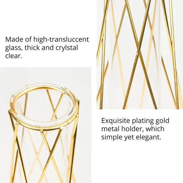 Gold_2_Pcs_Geometric_Vase,Air_Plant_Stand,Hydroponic_Plant_Flower_Vase_Glass_Test_Tube,Modern_Vases_For_Flowers,Vases_For_Centerpieces_Fbm____10L_x_10W_x_15H_Centimeters