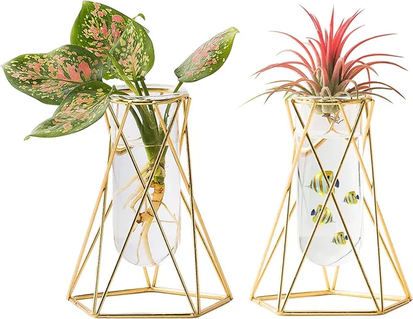 Gold_2_Pcs_Geometric_Vase,Air_Plant_Stand,Hydroponic_Plant_Flower_Vase_Glass_Test_Tube,Modern_Vases_For_Flowers,Vases_For_Centerpieces_Fbm____10L_x_10W_x_15H_Centimeters