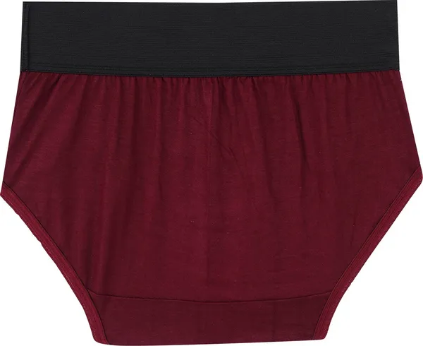 Pack_Of__5_-_Multicolor_Pure_Cotton_Hipster_Panties_For_Women_|_Printed