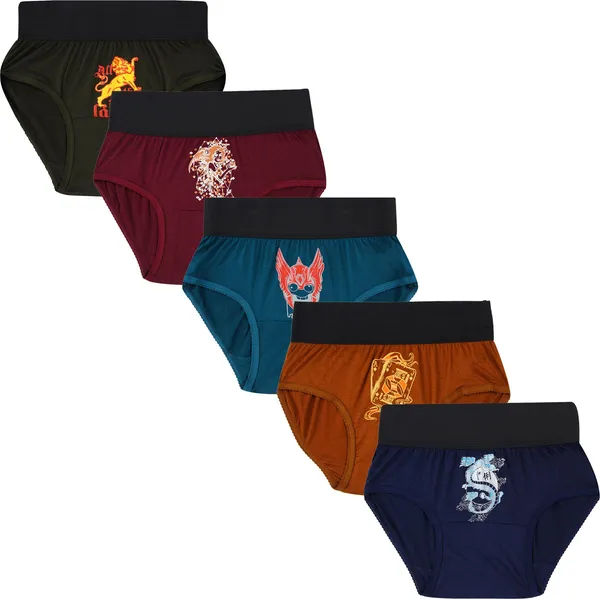 Pack_Of__5_-_Multicolor_Pure_Cotton_Hipster_Panties_For_Women_|_Printed