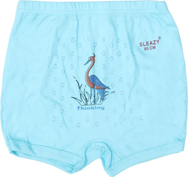 Pack_Of__12_-_Multicolor_Cotton_Breif_For_Baby_Boys
