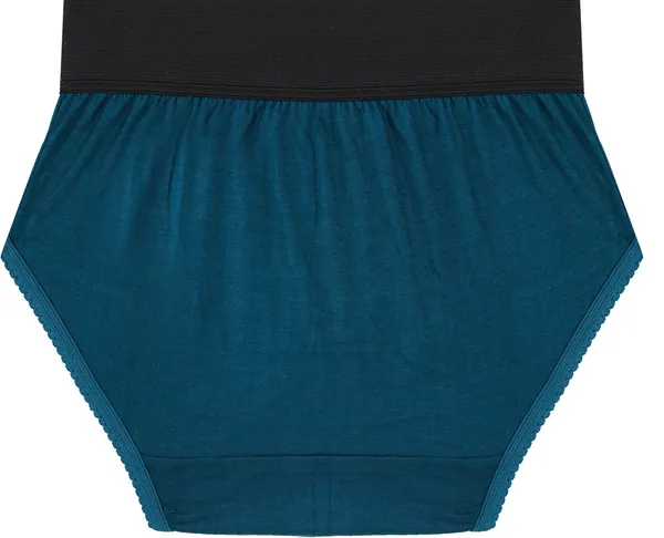 Pack_Of__6_-_Multicolor_Pure_Cotton_Hipster_Panties_For_Women_|_Solid