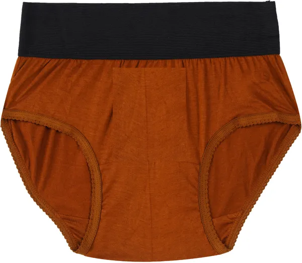 Pack_Of__6_-_Multicolor_Pure_Cotton_Hipster_Panties_For_Women_|_Solid