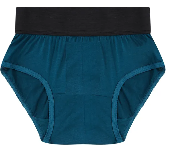 Pack_Of__6_-_Multicolor_Pure_Cotton_Hipster_Panties_For_Women_|_Solid