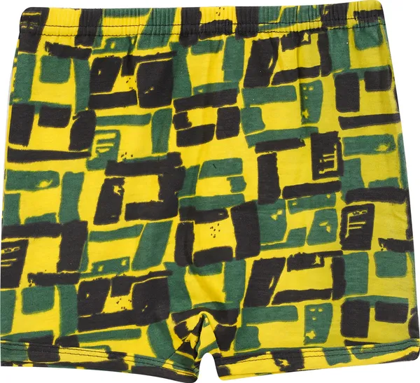 Pack_Of__6_-_Multicolor_Cotton_Breif_For_Boys