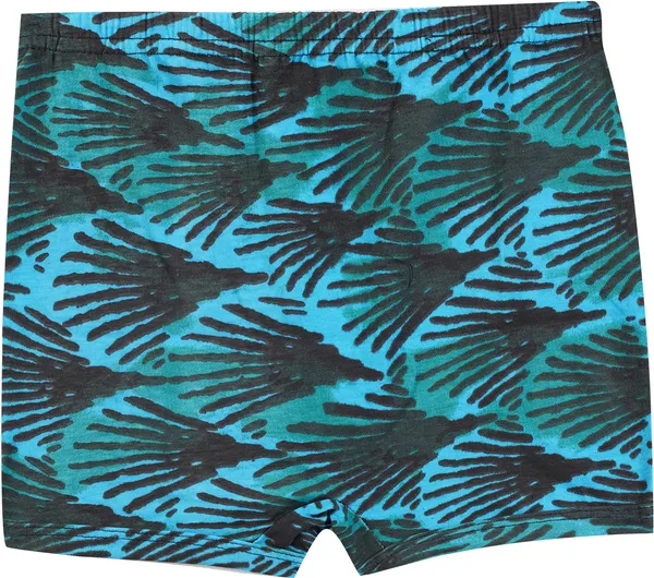 Pack_Of__6_-_Multicolor_Cotton_Breif_For_Boys