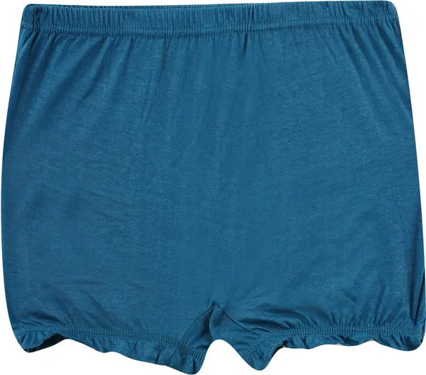 Pack_Of__6_-_Multicolor_Pure_Cotton_Boy_Short_Panties_For_Women_|_Solid