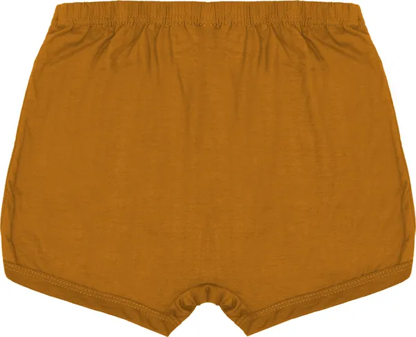 Pack_Of__6_-_Multicolor_Pure_Cotton_Breif_For_Boys