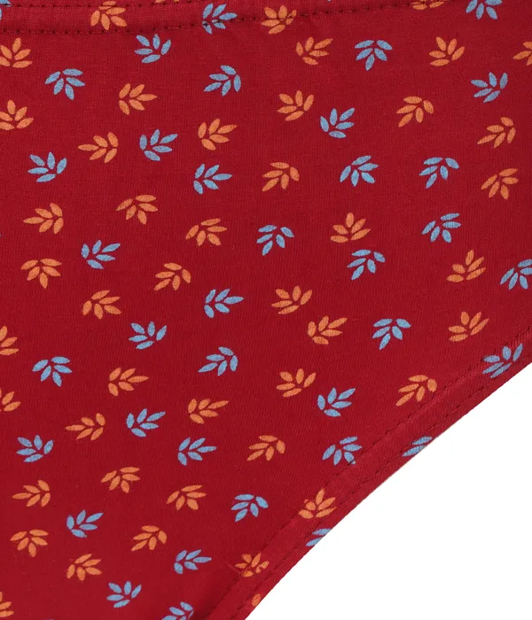 Pack_Of__3_-_Multicolor_Pure_Cotton_Hipster_Panties_For_Women_|_Printed