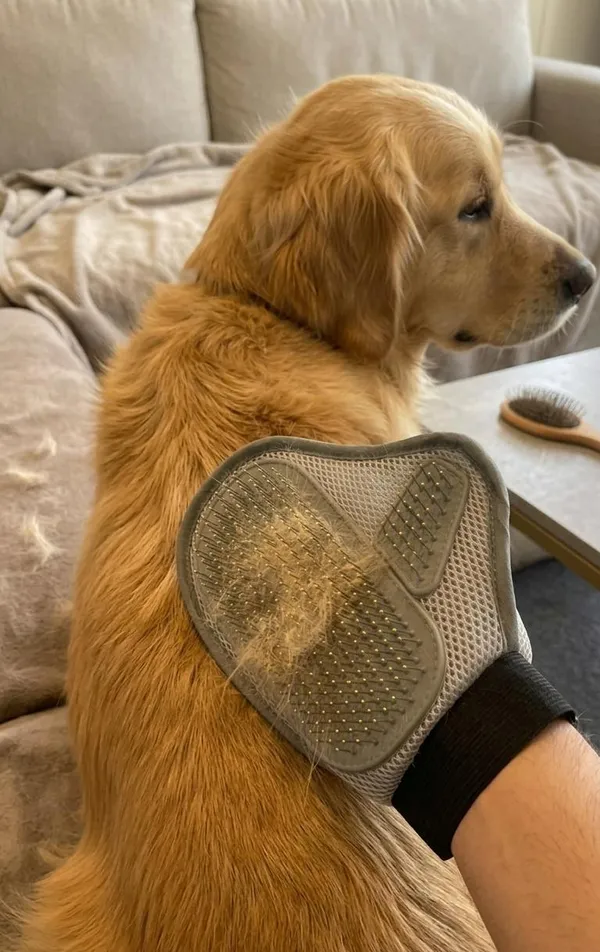 Vasu_creations_2-in-1_Pet_Deshedding_and_Massage_Glove_for_Dogs_&_Cats