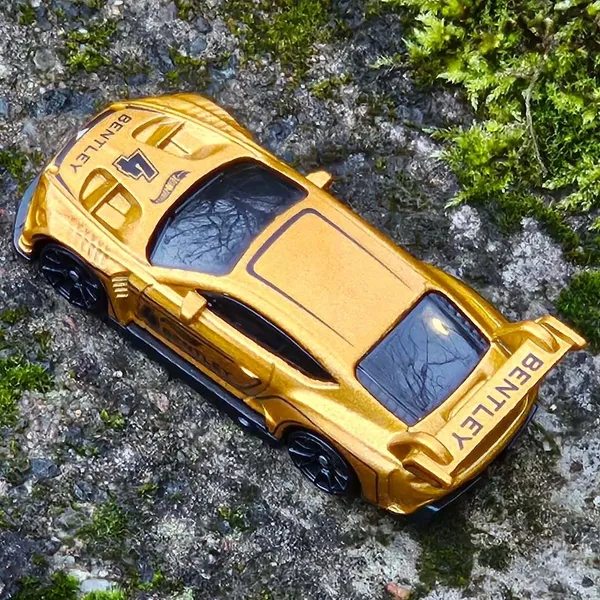 Hot_Wheels_1:64_Scale_2018_BENTLEY_CONTINENTAL_GT3_RACE_DAY_7/10_GOLDEN_162/250