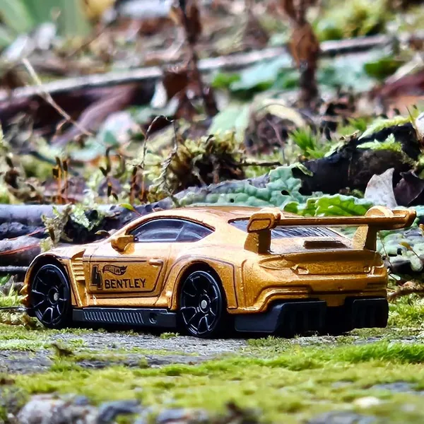 Hot_Wheels_1:64_Scale_2018_BENTLEY_CONTINENTAL_GT3_RACE_DAY_7/10_GOLDEN_162/250