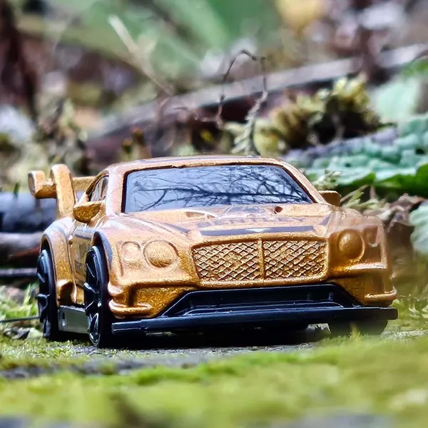 Hot_Wheels_1:64_Scale_2018_BENTLEY_CONTINENTAL_GT3_RACE_DAY_7/10_GOLDEN_162/250