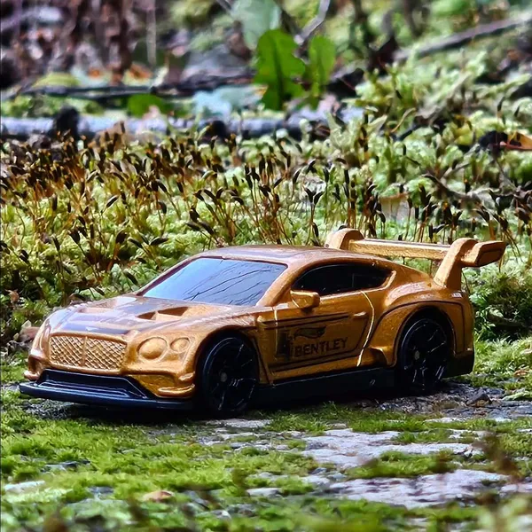 Hot_Wheels_1:64_Scale_2018_BENTLEY_CONTINENTAL_GT3_RACE_DAY_7/10_GOLDEN_162/250