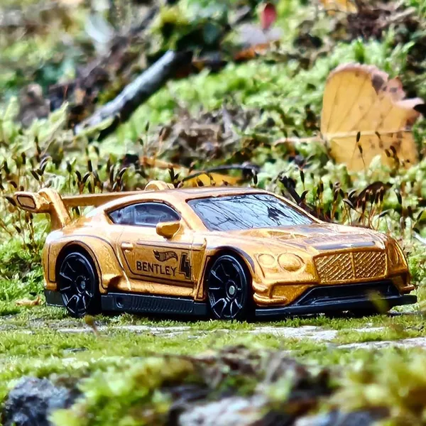 Hot_Wheels_1:64_Scale_2018_BENTLEY_CONTINENTAL_GT3_RACE_DAY_7/10_GOLDEN_162/250