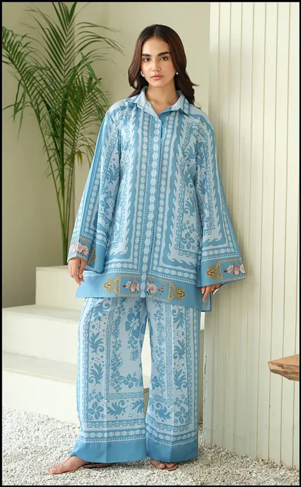 Elegant_Sky_Blue_Printed_Co-ord_set