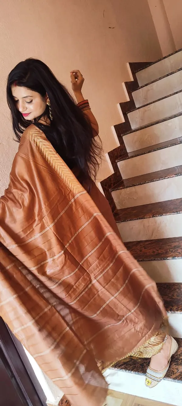 Joyful_Chanderi_Silk_Brown_Saree