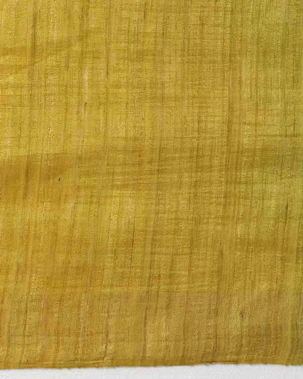Silkmark_Ghicha_Tussar_Silk_Yellow_&_Blue_Saree