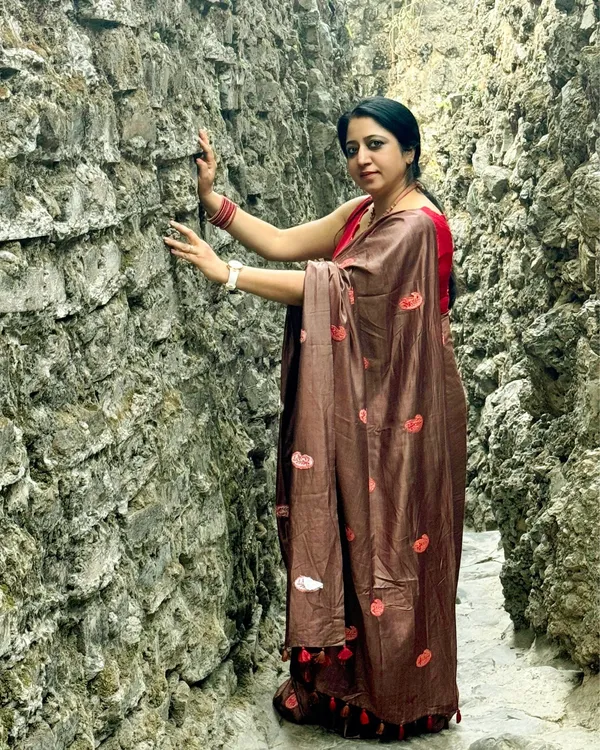 Silkmark_Pure_Tussar_Vibrant_Embroidered_Saree_Brown
