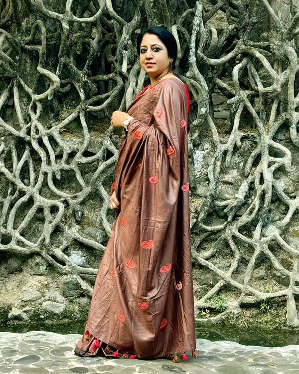 Silkmark_Pure_Tussar_Vibrant_Embroidered_Saree_Brown