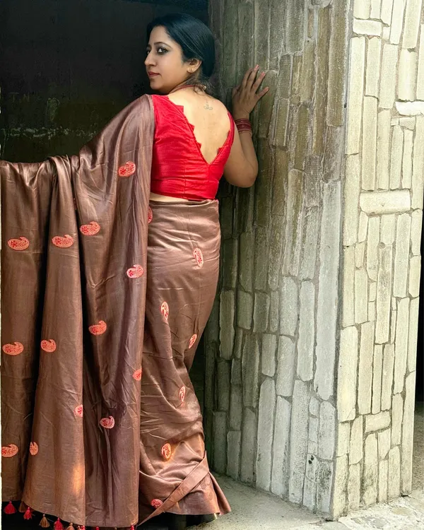 Silkmark_Pure_Tussar_Vibrant_Embroidered_Saree_Brown