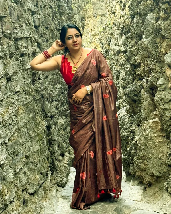 Silkmark_Pure_Tussar_Vibrant_Embroidered_Saree_Brown