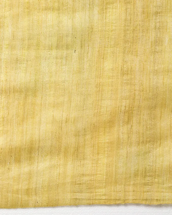 Silkmark_Ghicha_Tussar_Intricate_Yellow_Saree