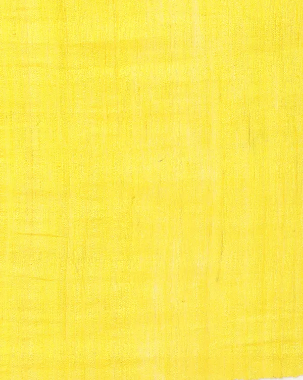 Silkmark_Ghicha_Tussar_Radiating_Yellow_Saree
