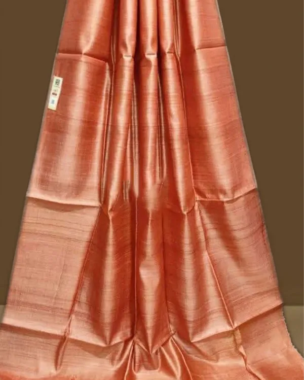 Silkmark_Ghicha_Tussar_Enchanting_Orange_Saree