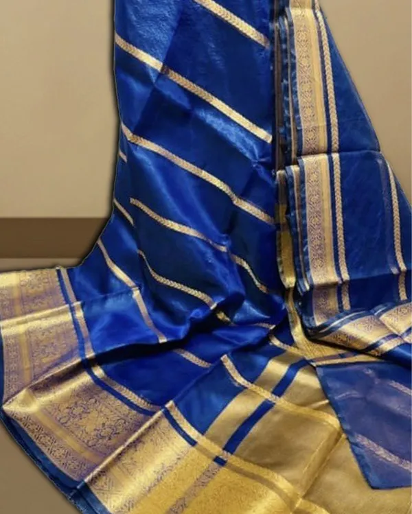 Vibrant_Banarasi_Pure_Organza_Silk_Blue_Saree