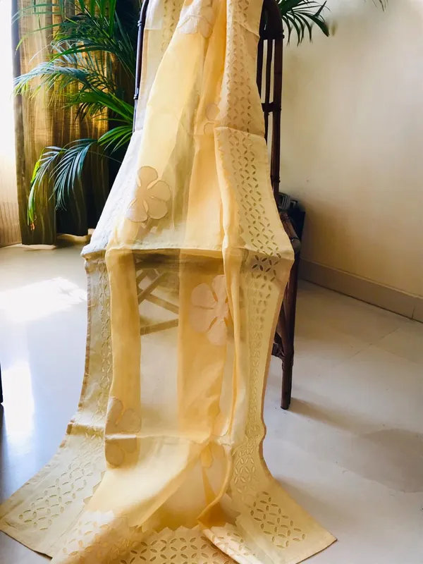 Apricot_Organdy_Cotton_Saree_Applique_Work_Orange