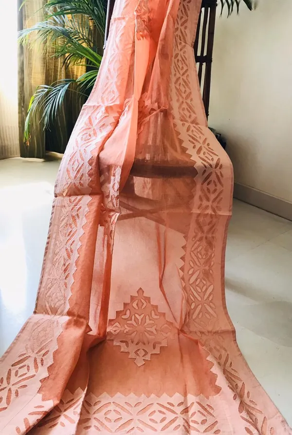 Ruby_Organdy_Cotton_Saree_Applique_Work_Red