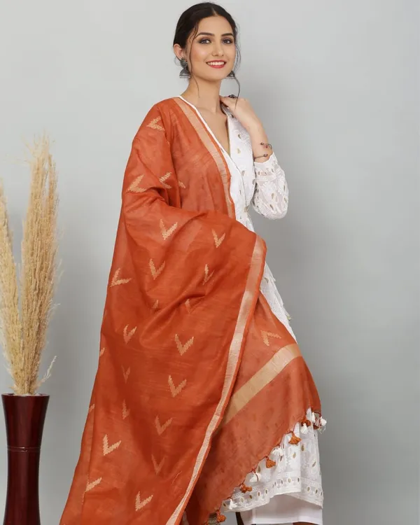 Dye_&_Drape_Pure_Cotton_Brown_Ikkat_Dupatta