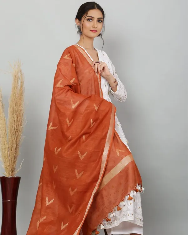 Dye_&_Drape_Pure_Cotton_Brown_Ikkat_Dupatta