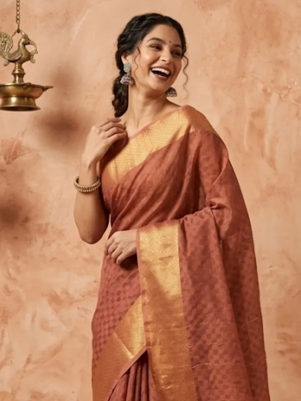 Rangsaaz_Hand_Dyed_Dupion_Silk_Saree_Brown