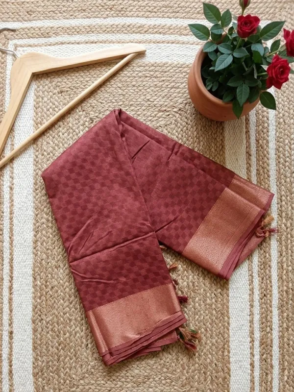 Rangsaaz_Hand_Dyed_Dupion_Silk_Saree_Brown