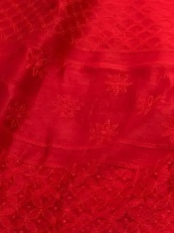 Novara_Chikankari_Pure_Chanderi_Silk_Saree_Fiery_Red