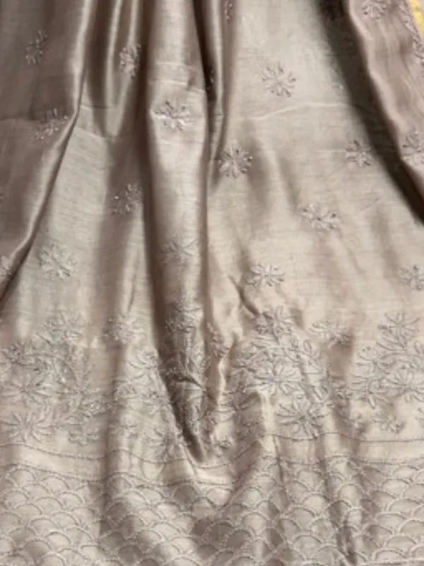 Novara_Chikankari_Pure_Chanderi_Silk_Saree_Beige
