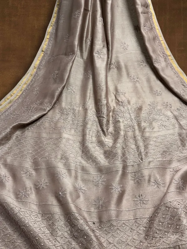 Novara_Chikankari_Pure_Chanderi_Silk_Saree_Beige
