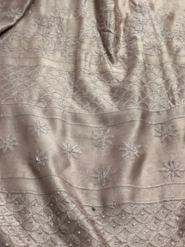 Novara_Chikankari_Pure_Chanderi_Silk_Saree_Beige