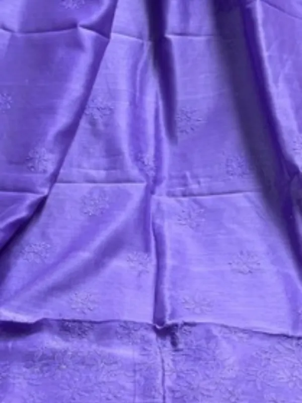 Novara_Chikankari_Pure_Chanderi_Silk_Saree_Blue