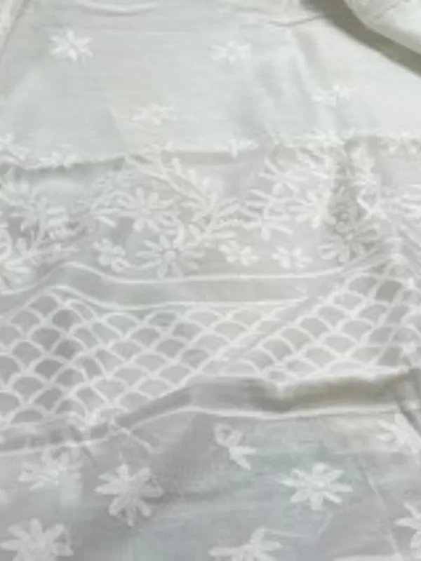 Novara_Chikankari_Pure_Chanderi_Silk_Saree_White