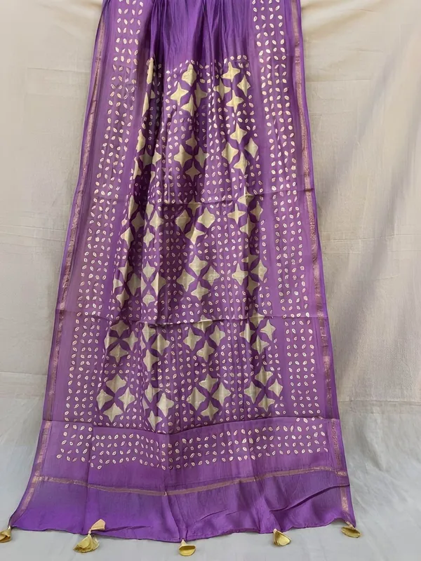 Roop_Baani_Pure_Chanderi_Silk_Applique_Saree_Purple