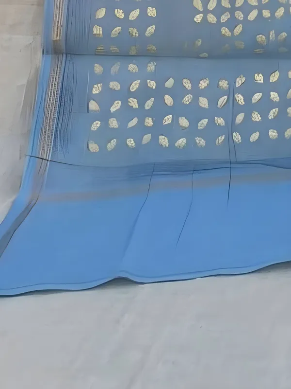Roop_Baani_Pure_Chanderi_Silk_Applique_Saree_Ash_Gray