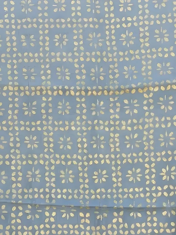 Roop_Baani_Pure_Chanderi_Silk_Applique_Saree_Ash_Gray