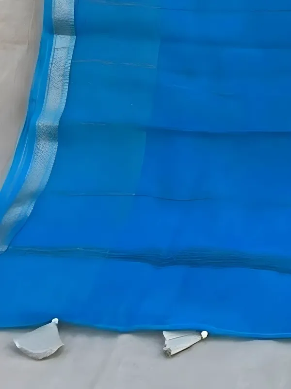 Roop_Baani_Pure_Chanderi_Silk_Applique_Saree_Blue