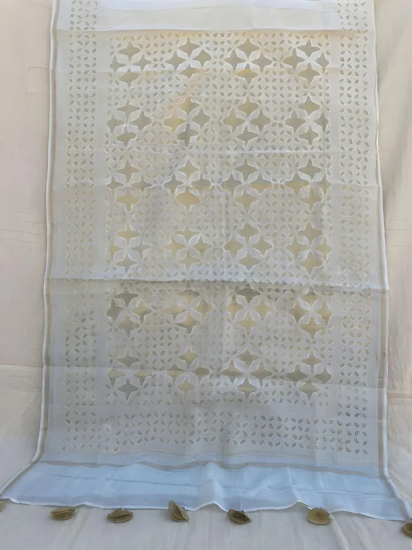 Roop_Baani_Pure_Chanderi_Silk_Applique_Saree_White