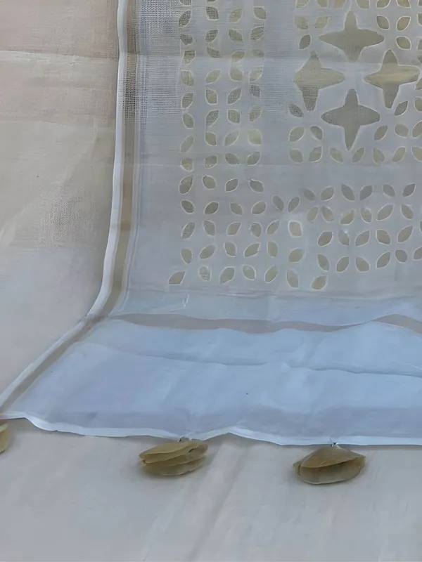 Roop_Baani_Pure_Chanderi_Silk_Applique_Saree_White