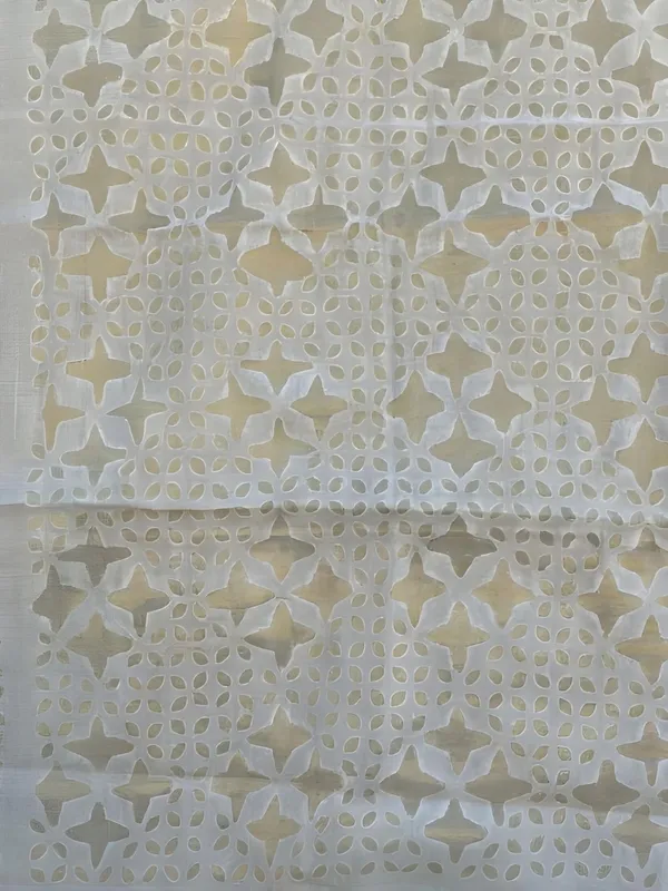 Roop_Baani_Pure_Chanderi_Silk_Applique_Saree_White